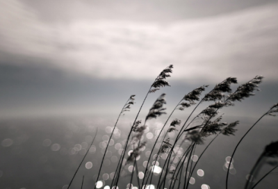 ​老婆我爱你一辈子暖心句子 老婆我爱你一辈子暖心句子英文