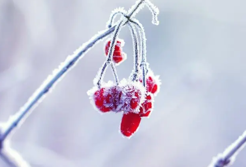 1711399998510171.png image.png