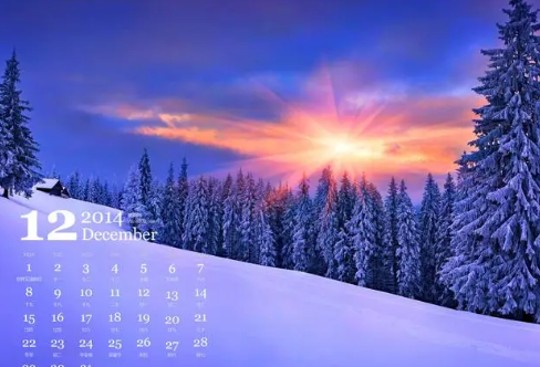 1711400164949135.png image.png