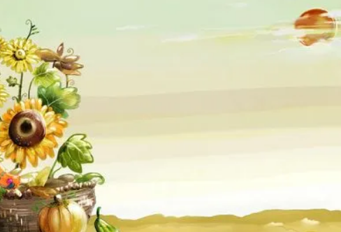 1711400998208806.png image.png