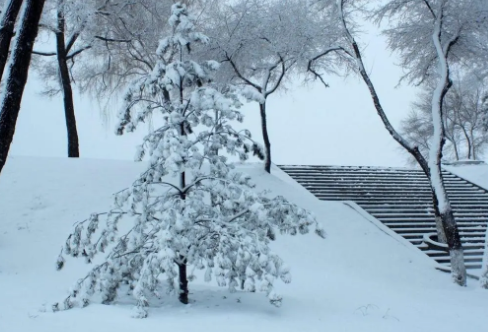 1711402166890682.png image.png