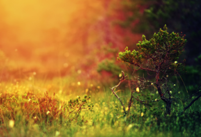 ​简短的结婚纪念日文案，结婚纪念日的记录句子