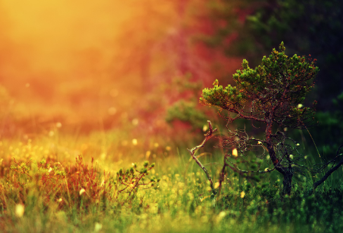 1711402333452037.png image.png