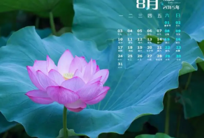 ​奉献精神的句子 写老师奉献精神的句子(精选92句)