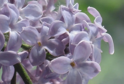 ​菩萨保佑的句子 南岳菩萨保佑的句子(精选54句)