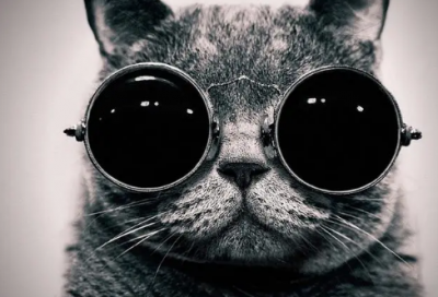 ​夫妻相互理解的句子 理解和体谅的经典语录