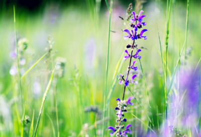 ​好听至极的女生网络昵称（精选54个）