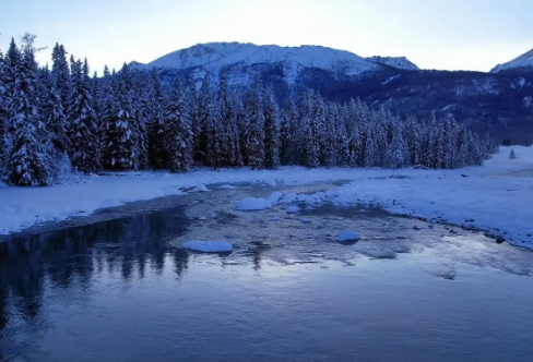 1718296862211062.png image.png