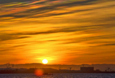 ​校园广播稿13篇