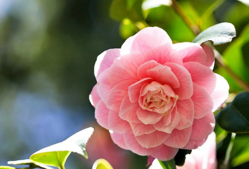 1718297697442750.png image.png