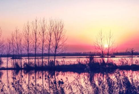 1718298031691144.png image.png