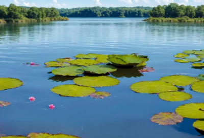 ​汽车营销策划方案15篇