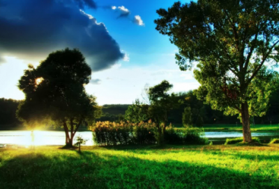 ​关于学校后勤工作汇报（通用12篇）