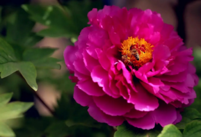 ​销售部年度工作总结(15篇)