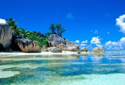 ​服务外包合同(精选15篇)