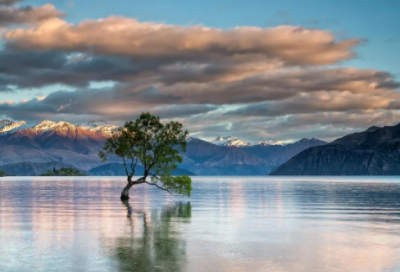 ​贺卡情人节文案530句