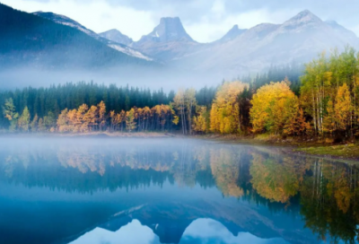 ​职场基本礼仪