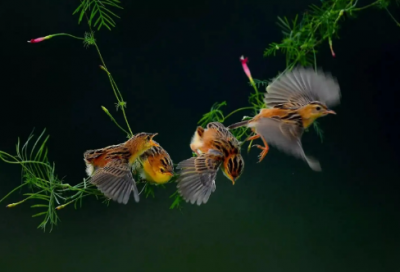 ​初中数学教学设计