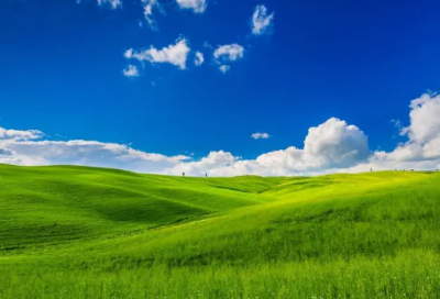 ​办公室副主任述职报告(13篇)