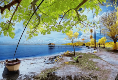 ​关于成功的演讲稿（通用28篇）