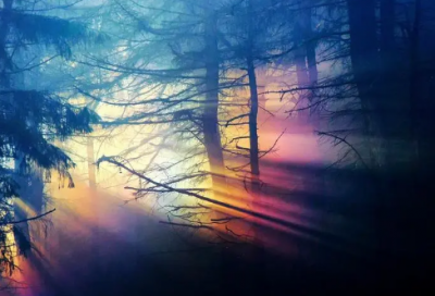 ​外国寓言故事（精选45篇）