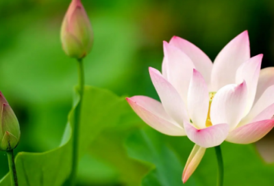 ​淘宝客服工作计划(15篇)