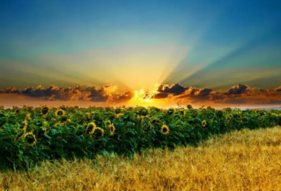 ​教研组工作总结及报告15篇