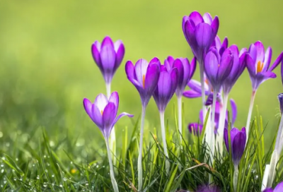 ​劳动教育心得体会（精选25篇）