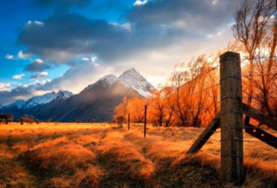 ​《中彩那天》教学设计