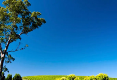 ​音乐教师工作总结精选15篇