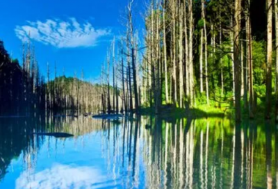 ​销售部薪酬体系方案（通用20篇）