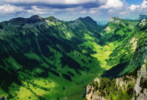 1718305717242502.png image.png