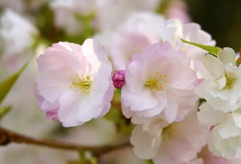 1718307053610145.png image.png