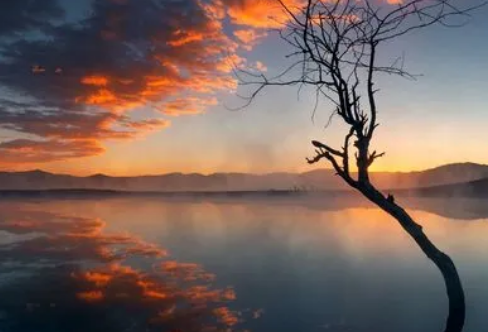 1718308224567837.png image.png