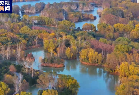 1718310232943188.png image.png