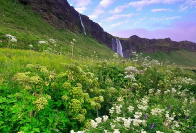 ​日常工作计划15篇