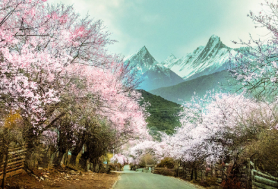 ​教育研究方案设计（精选8篇）