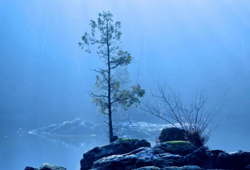 1718311235462312.png image.png