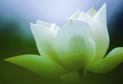 ​酒店工作总结精选15篇