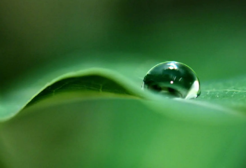 1718316757625056.png image.png