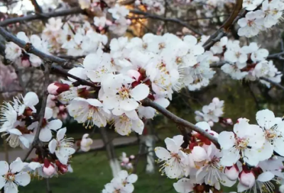 ​酒店服务礼仪