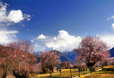 ​关于端午节活动方案（精选20篇）