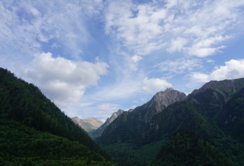 1718318430625786.png image.png