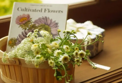 ​教师网络研修总结（通用20篇）