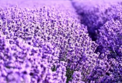 ​房屋建筑工程合同15篇