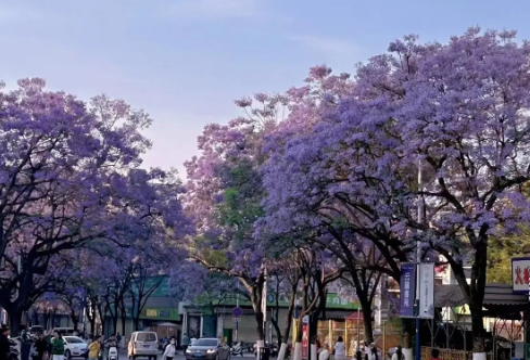 1718321443679297.png image.png