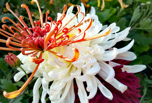 1718323785267654.png image.png