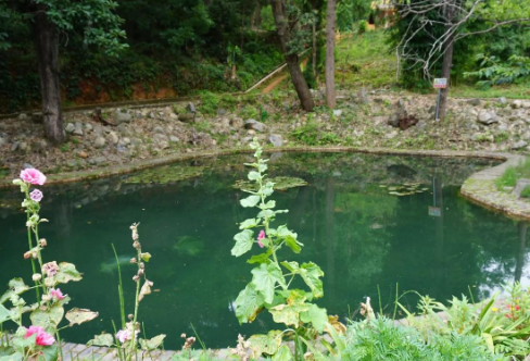 1718324287449281.png image.png