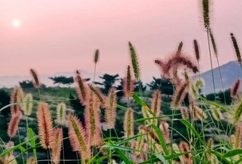 1718326964321178.png image.png