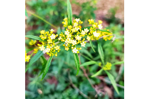 1718327466231021.png image.png